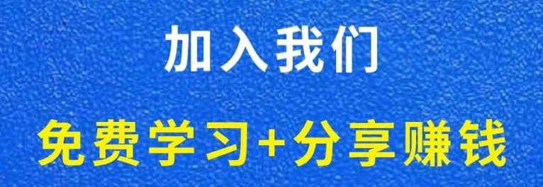 白菜价解锁20000+N个赚钱机会，加入掘金阁会员，全站资源免费学习。-掘金阁