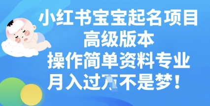 小红书宝宝起名项目高级版本，操作简单，资料专业，月入过W-掘金阁