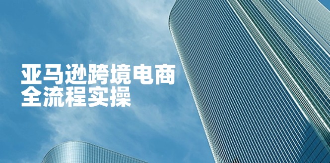（14252期）亚马逊跨境电商全流程实操，教你从零开始，掌握店铺运营与广告技巧-掘金阁