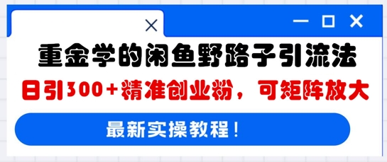 重金学的闲鱼野路子引流法，日引300+精准创业粉，可矩阵放大-掘金阁
