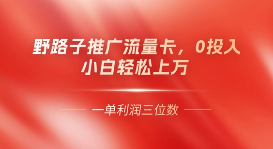 0门槛推广流量卡，一单收益上百，0投入，小白月入过W-掘金阁