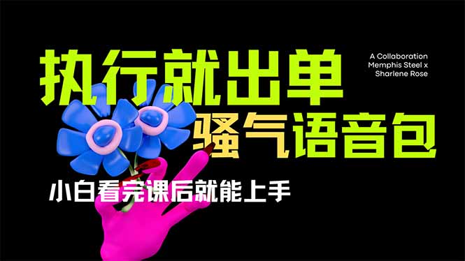 （14170期）爆火全网的开车导航骚气语音包,只要执行就出单，小白看完课程就能实操...-掘金阁