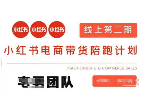 小红书电商带货课2期，月利润20个的小红书电商的有货源，无货源，虚拟产品，付费投流等整套玩法-掘金阁